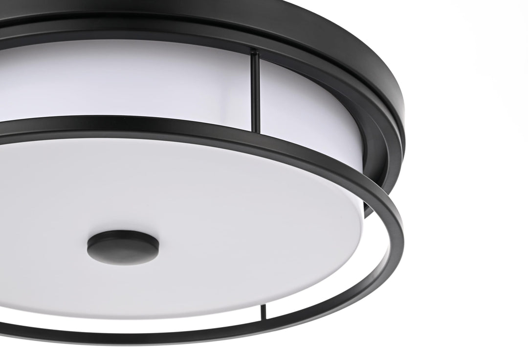 Series LD305 Flush Mount