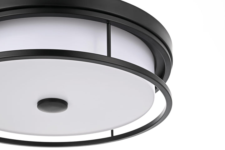 Series LD305 Flush Mount