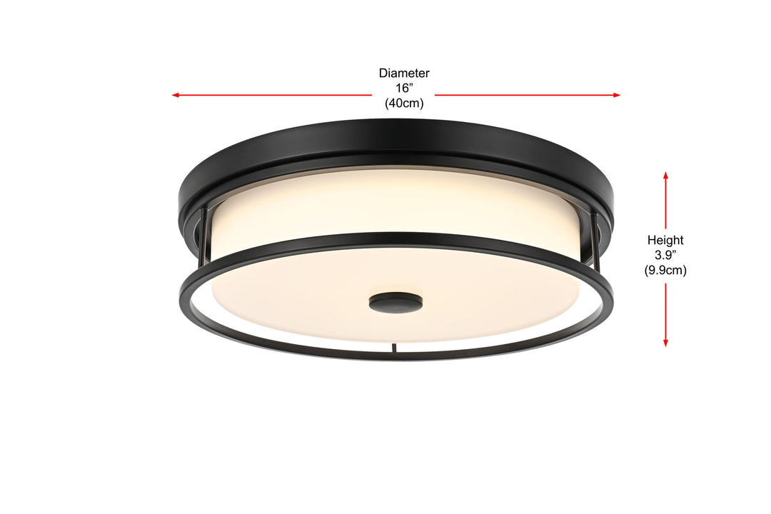Series LD305 Flush Mount