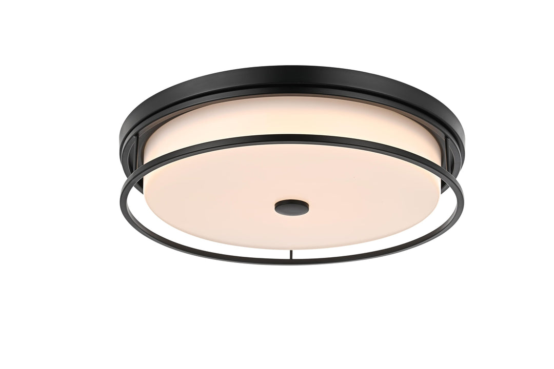 Series LD305 Flush Mount