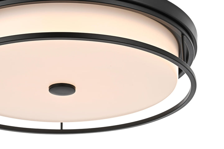 Series LD305 Flush Mount
