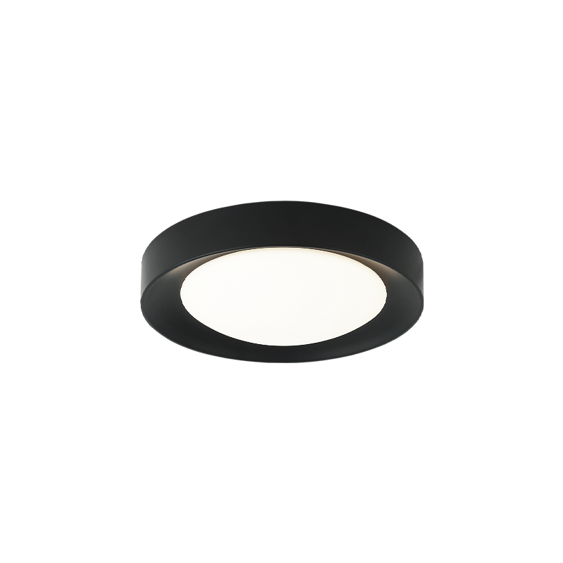 LED Steel Frame with White Glass Diffuser Flush Mount