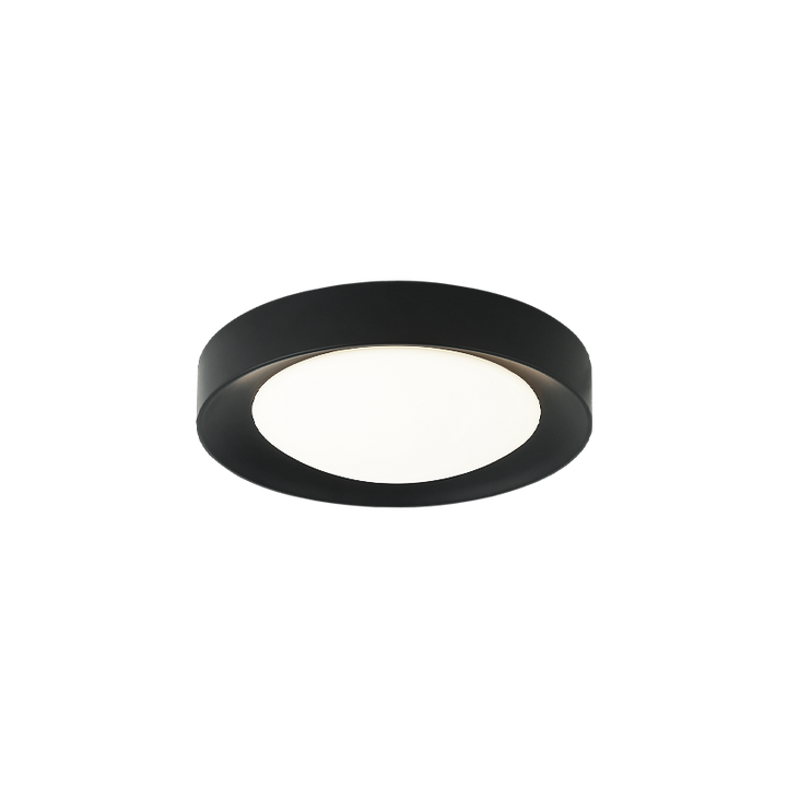 LED Steel Frame with White Glass Diffuser Flush Mount