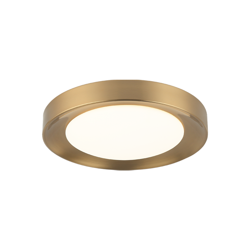 LED Steel Frame with White Glass Diffuser Flush Mount
