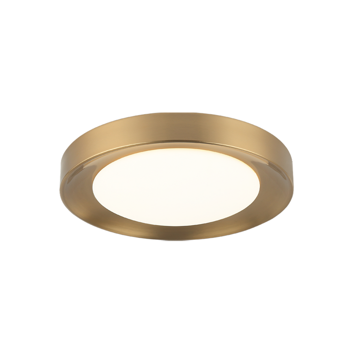 LED Steel Frame with White Glass Diffuser Flush Mount
