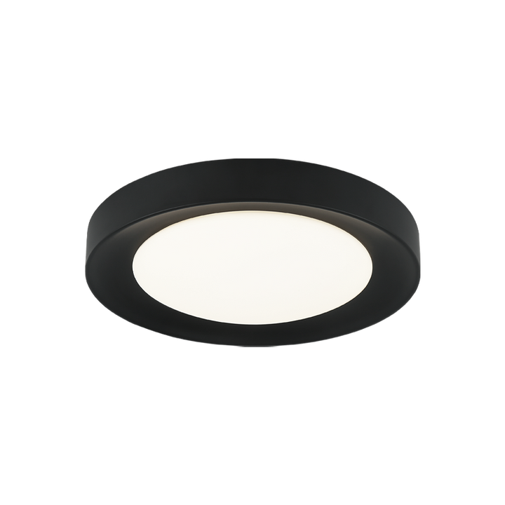 LED Steel Frame with White Glass Diffuser Flush Mount