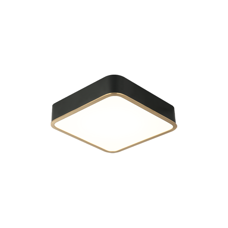 LED Steel Two Tone Frame with Acrylic Diffuser Flush Mount