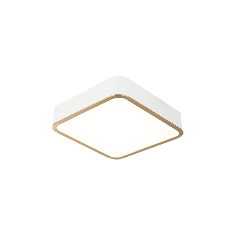 LED Steel Two Tone Frame with Acrylic Diffuser Flush Mount