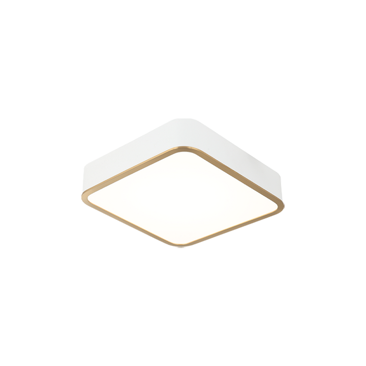 LED Steel Two Tone Frame with Acrylic Diffuser Flush Mount