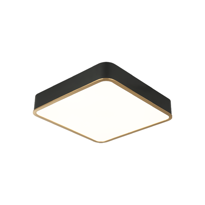 LED Steel Two Tone Frame with Acrylic Diffuser Flush Mount