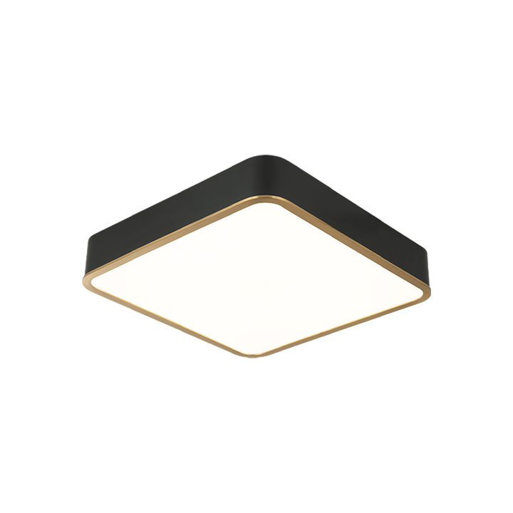 LED Steel Two Tone Frame with Acrylic Diffuser Flush Mount