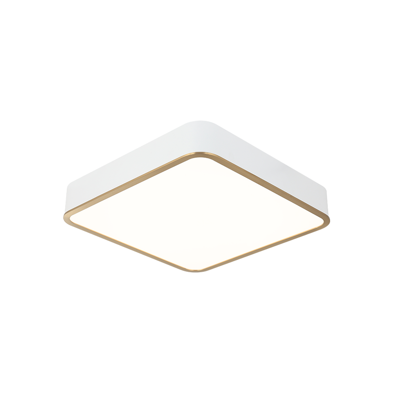 LED Steel Two Tone Frame with Acrylic Diffuser Flush Mount