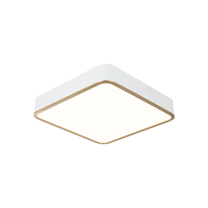 LED Steel Two Tone Frame with Acrylic Diffuser Flush Mount