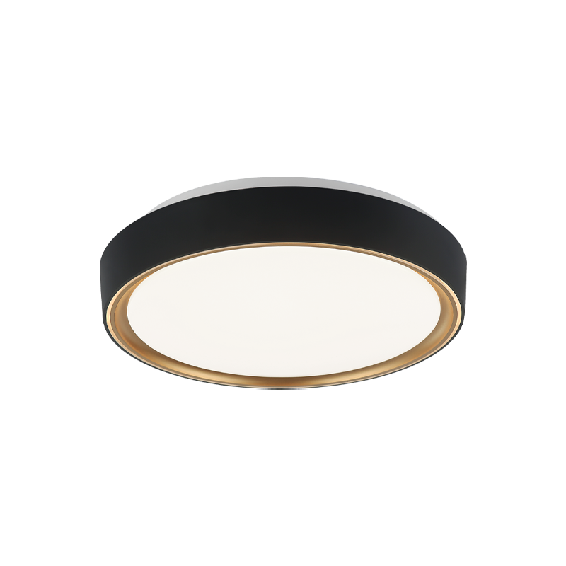 Steel Two Tone Frame with Acrylic Diffuser Flush Mount