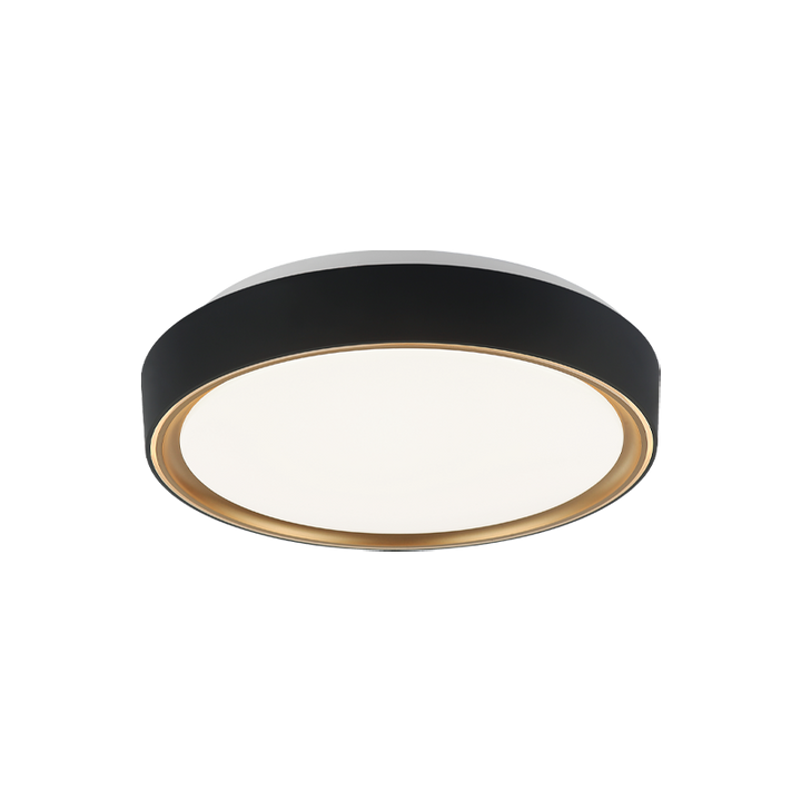 Steel Two Tone Frame with Acrylic Diffuser Flush Mount