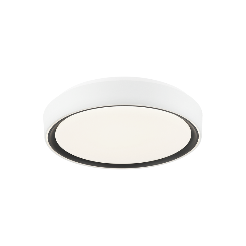 Steel Two Tone Frame with Acrylic Diffuser Flush Mount