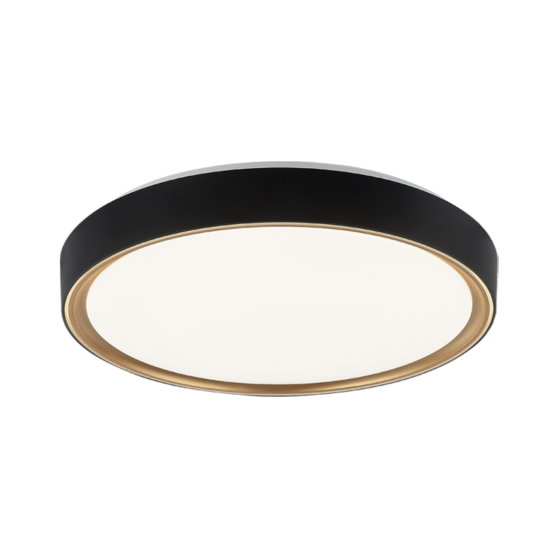 Steel Two Tone Frame with Acrylic Diffuser Flush Mount