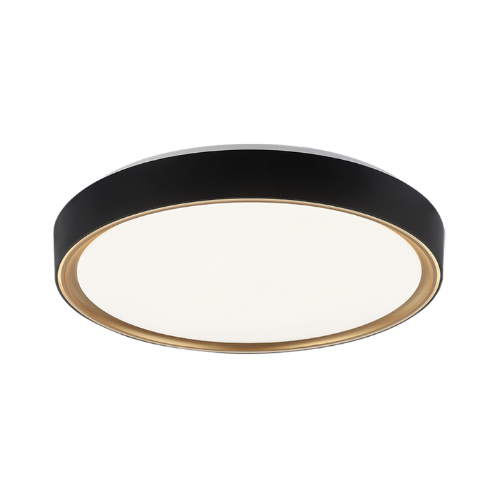 Steel Two Tone Frame with Acrylic Diffuser Flush Mount