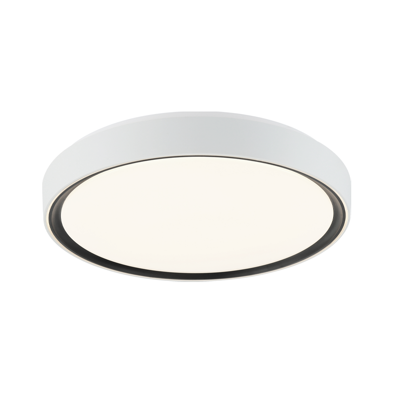 Steel Two Tone Frame with Acrylic Diffuser Flush Mount