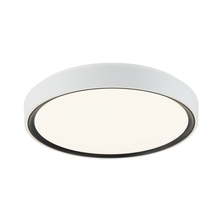 Steel Two Tone Frame with Acrylic Diffuser Flush Mount
