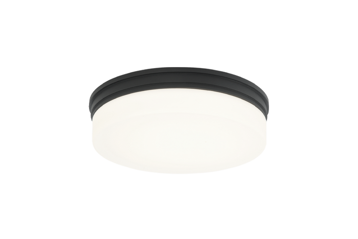 LED Steel Frame with Opal Glass Shade Flush Mount