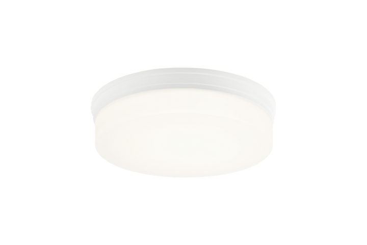 LED Steel Frame with Opal Glass Shade Flush Mount