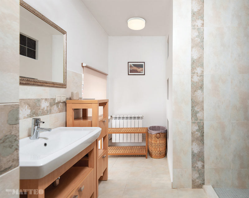 LED Steel Frame with Opal Glass Shade Flush Mount