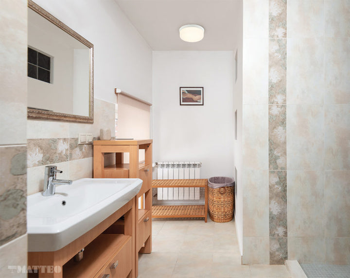LED Steel Frame with Opal Glass Shade Flush Mount
