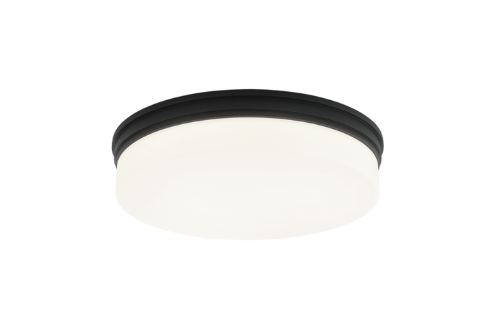 LED Steel Frame with Opal Glass Shade Flush Mount