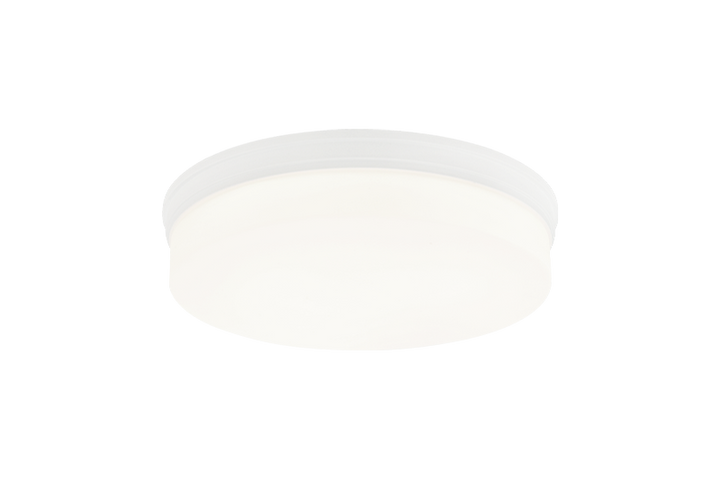 LED Steel Frame with Opal Glass Shade Flush Mount