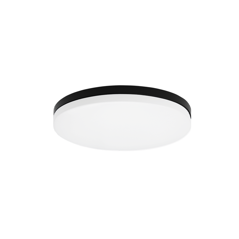 Steel Frame with White Acrylic Diffuser Flush Mount