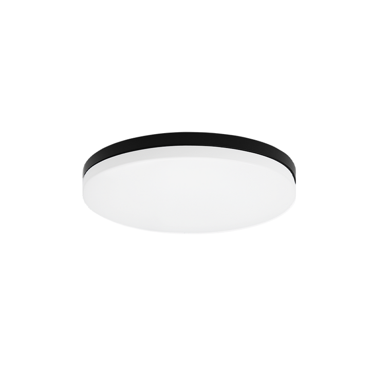 Steel Frame with White Acrylic Diffuser Flush Mount