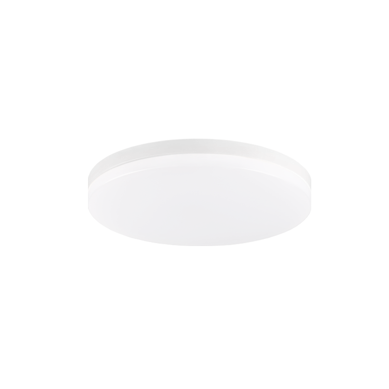 Steel Frame with White Acrylic Diffuser Flush Mount