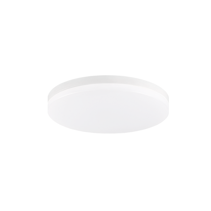 Steel Frame with White Acrylic Diffuser Flush Mount