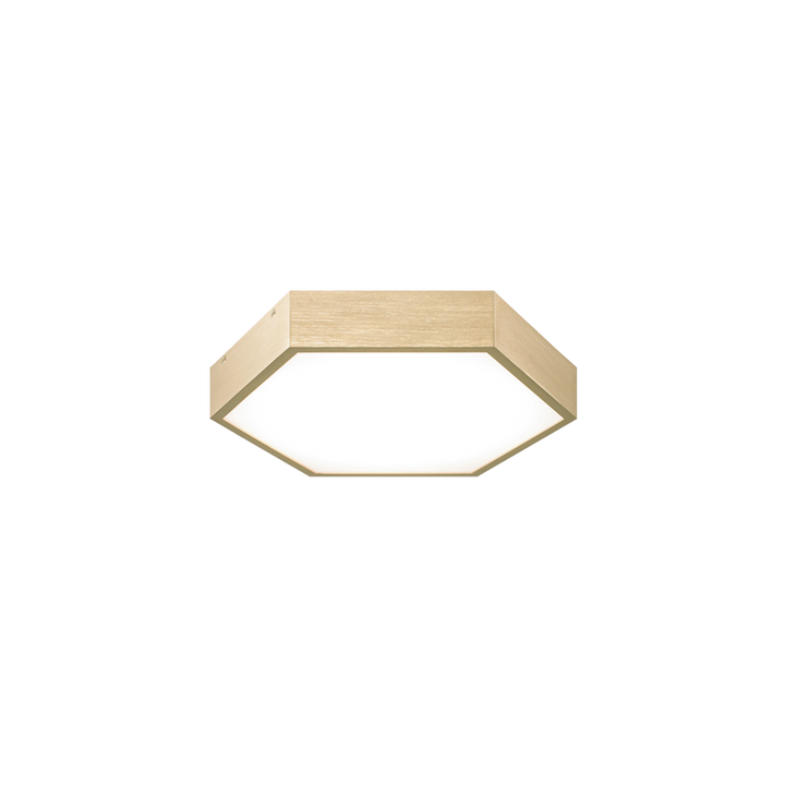 Hexol - LED 1 Light Flush Mount