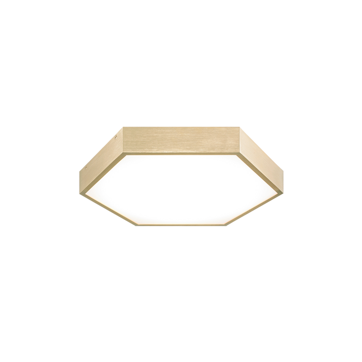 Hexol - LED 1 Light Flush Mount