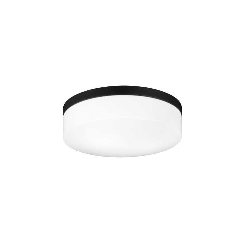Steel Frame with White Acrylic Diffuser Flush Mount