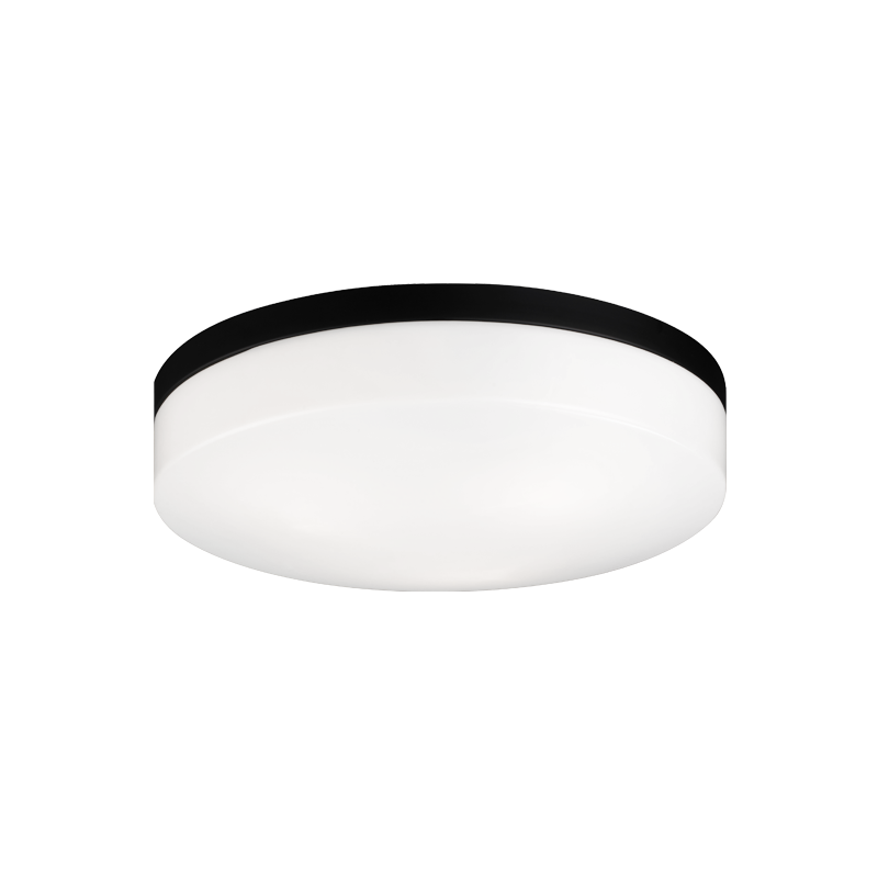 Steel Frame with White Acrylic Diffuser Flush Mount