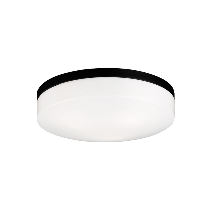 Steel Frame with White Acrylic Diffuser Flush Mount