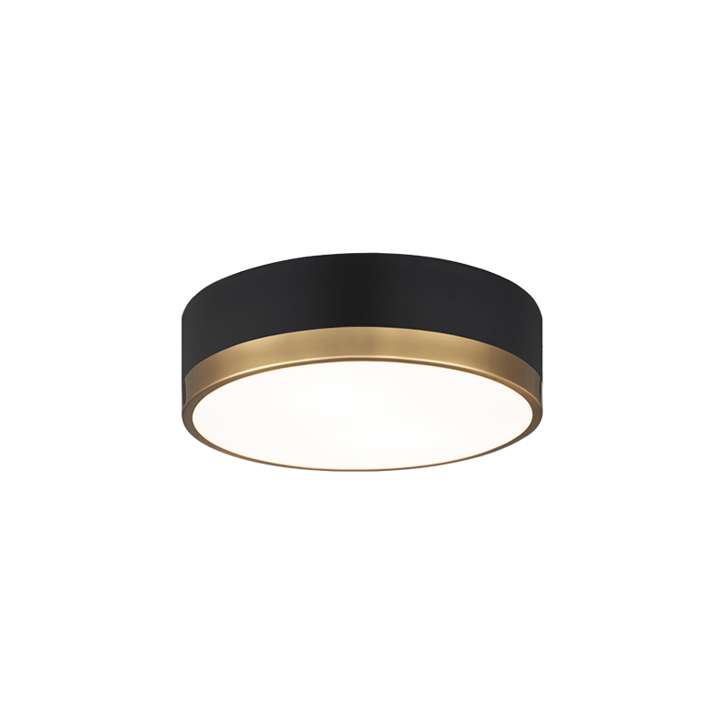 Steel Two Tone Frame with Glass Diffuser Flush Mount
