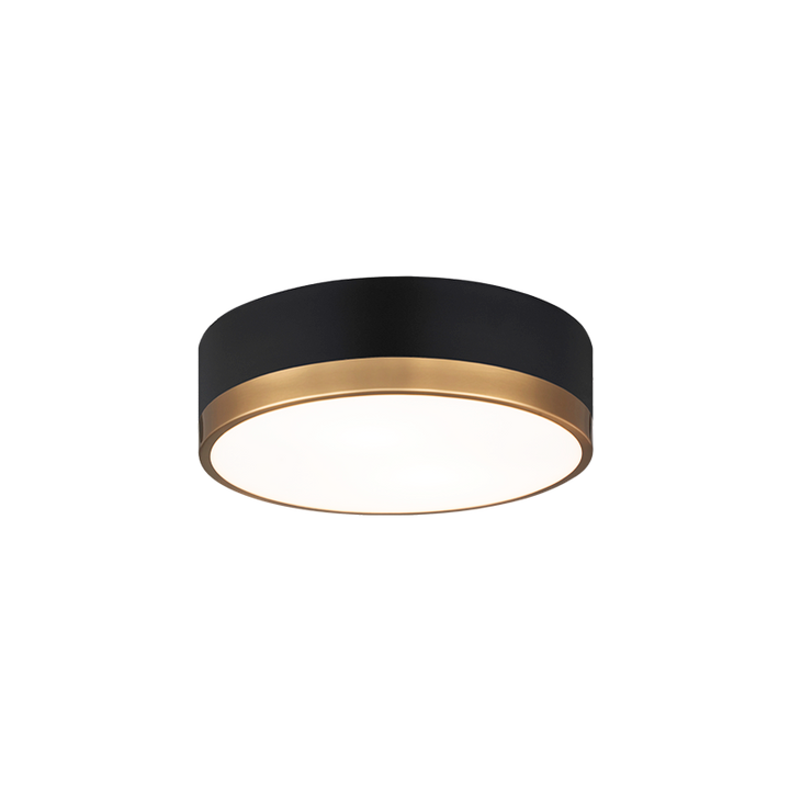 Steel Two Tone Frame with Glass Diffuser Flush Mount