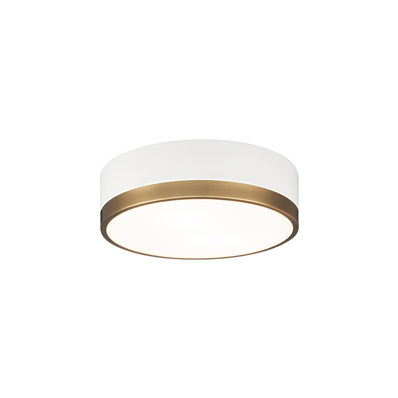 Steel Two Tone Frame with Glass Diffuser Flush Mount