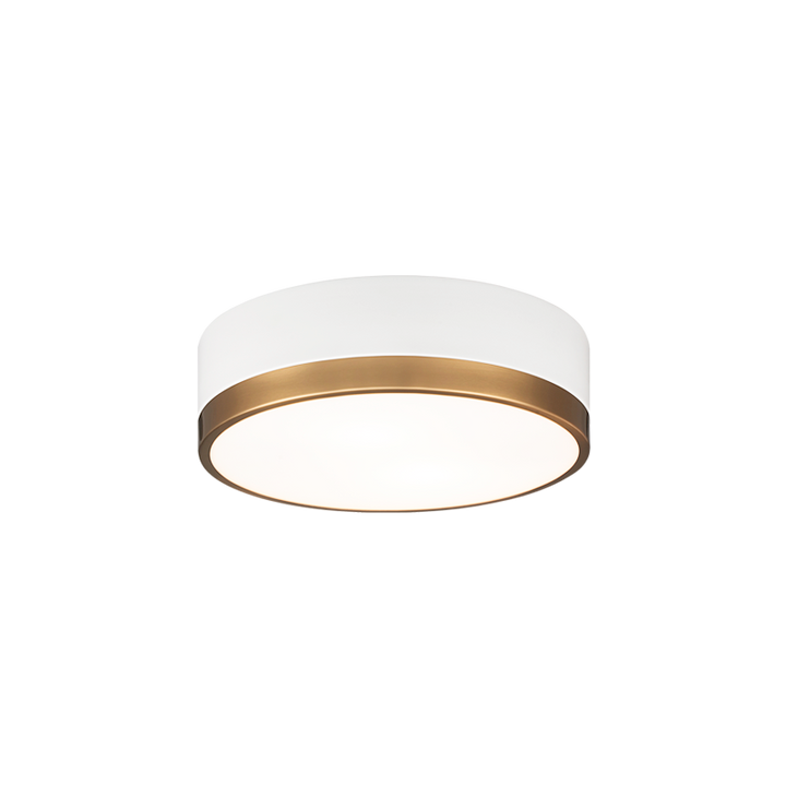 Steel Two Tone Frame with Glass Diffuser Flush Mount