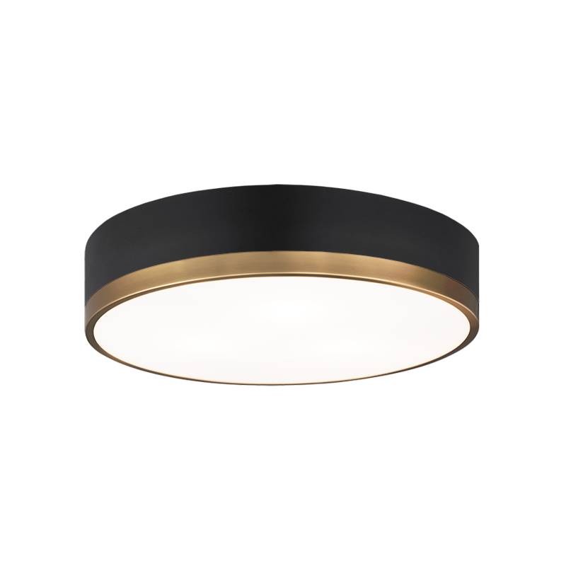 Steel Two Tone Frame with Glass Diffuser Flush Mount