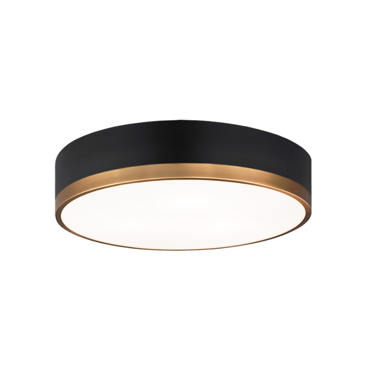 Steel Two Tone Frame with Glass Diffuser Flush Mount