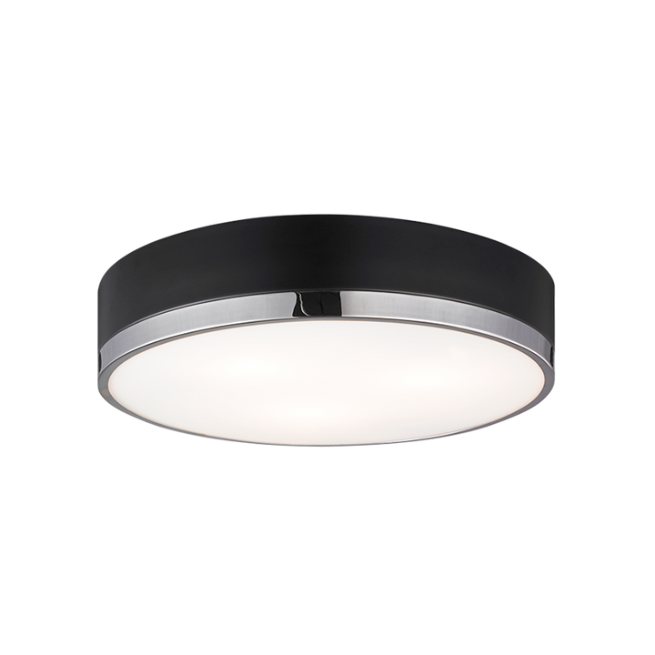 Steel Two Tone Frame with Glass Diffuser Flush Mount