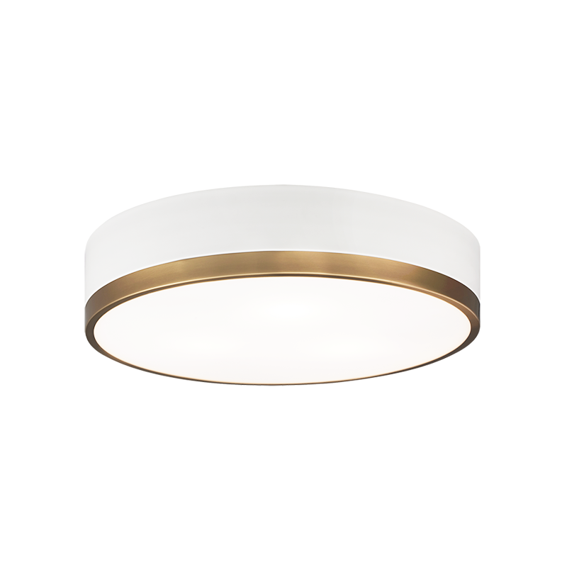Steel Two Tone Frame with Glass Diffuser Flush Mount