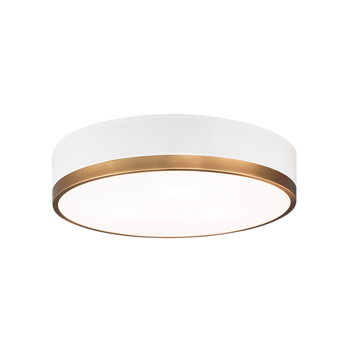 Steel Two Tone Frame with Glass Diffuser Flush Mount