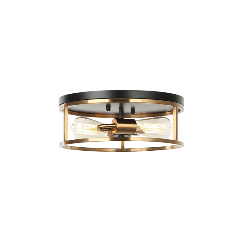 Steel Open Air Two Tone Color Round Frame Flush Mount