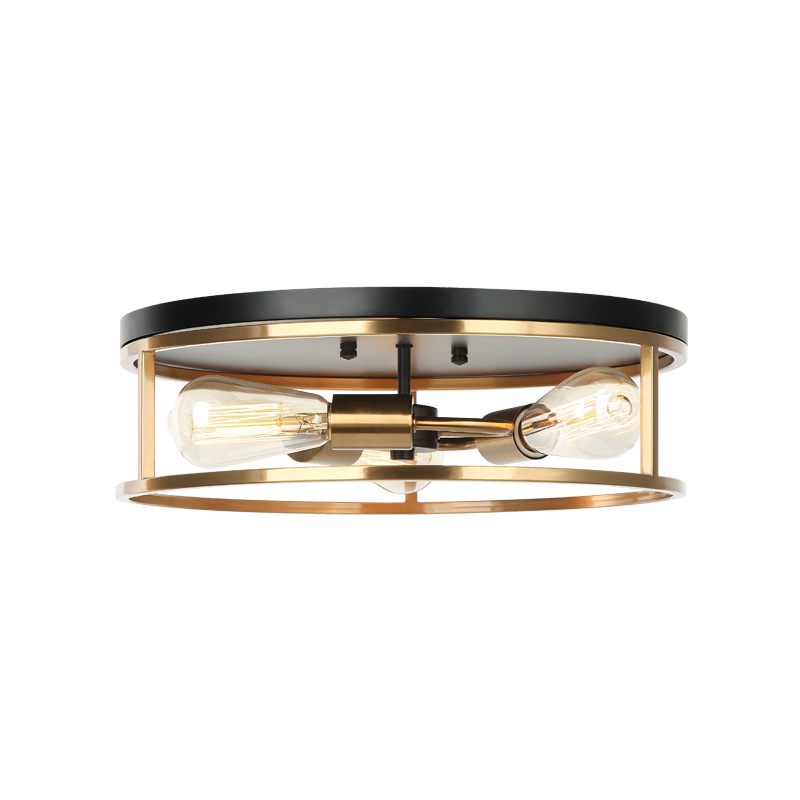Steel Open Air Two Tone Color Round Frame Flush Mount